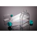 فلاسک فیلتردار کشت سلول استریل TC Flask 175cm2