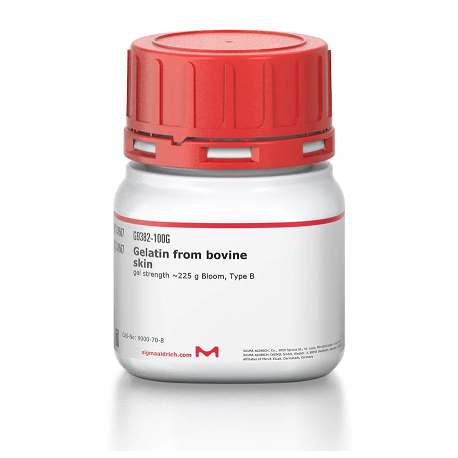 ژلاتین Gelatine aus Rinderhaut sigma