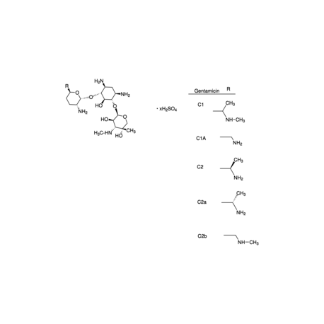 جنتاماسین Gentamicin -Lösung 10cc G1397