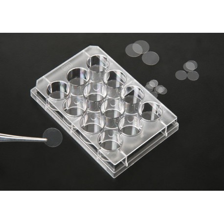 Coverslips Fits into 6 Wells Dimension 25mm Sterile 20025