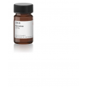 اسپرمین Spermine sigma S3256