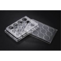پلیت کشت سلول استریل 12Testplate Wells