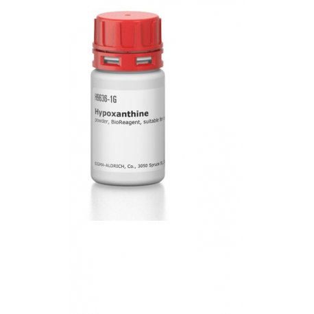 هیپکینتین  Hypoxanthine  sigma H9636