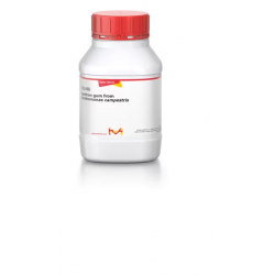 زانتان Xanthan gum from Xanthomonas campestris sigma G1253