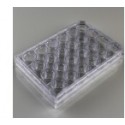 پلیت کشت سلول استریل 24Testplate Wells