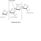 هیالورینیداز فرام بوبین Hyaluronidase from bovine testes SIGMA H4272