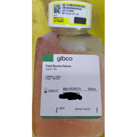 آف بی آس Gibco™ Fetal Bovine Serum, Value (formerly USDA-approved in North America or qualified, Brazil in other regions) آف بی آس Gibco™ Fetal Bovine Serum, Value (formerly USDA-approved in North America or qualified, Brazil in other regions)