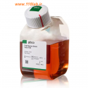 Fetal Bovine Serum   FBS