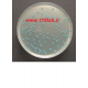 لیستریا سلکتیو اگار Listeria selective agar 100427 MERCK