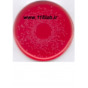 برلیان گرین بایل اگار BPLS Merck 110747 Brilliant-green phenol-red lactose sucrose agar