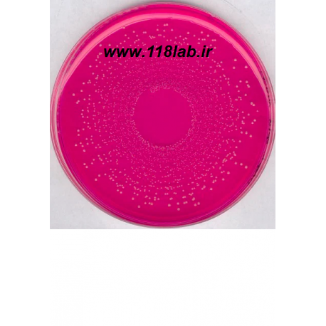 مانیتول سالت اگار Mannitol Salt Agar 105404 MERCK