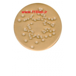 پوتیتو دکستروز اگار Potato dextrose agar 110130 merck