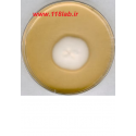 سابرو دکستروز اگار Sabouraud Dextrose Agar SDA 105438 MERCK