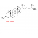کلسترول Cholesterol sigma C8667