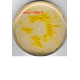 سترماید اگار Cetrimide agar MERCK 110493