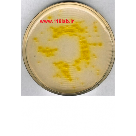 سترماید اگار Cetrimide agar MERCK 110493
