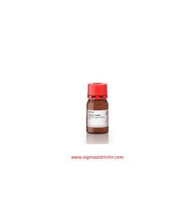 یدید سرب سیگما (II) Lead(II) Iodide Aldrich 203602