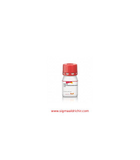 4- ترت بوتیل سیکلوهگزانون  4tert-Butylcyclohexanone Sigma B92303