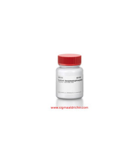 سدیم هگزامتافسفات Sodium hexametaphosphate Sigma Aldrich 305553