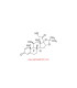 تریامسینولون استوناید  Triamcinolone acetonide Sigma T6501