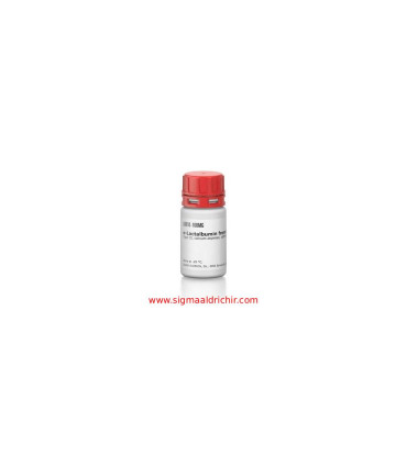 آلفا لاکتالبومین از شیر گاو  α-Lactalbumin from bovine milk sigma L6010