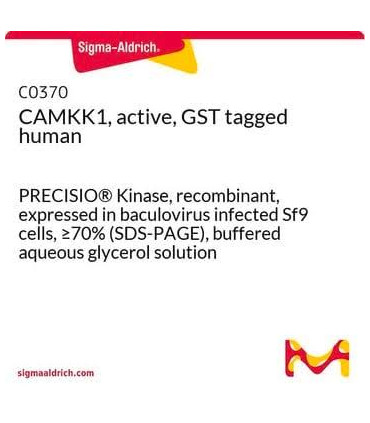 پروتئین کیناز   CAMKK1, active, GST tagged human sigma C0370