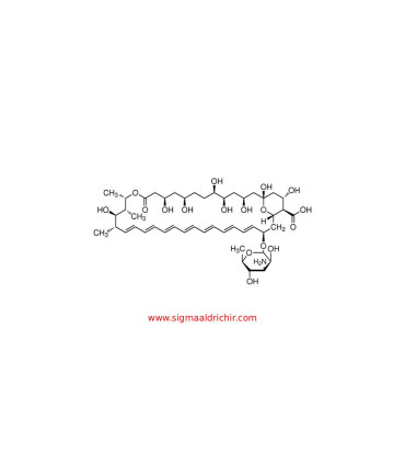 محلول آمفوتریسین B مناسب کشت سلولی  Amphotericin B solution sigma A2942
