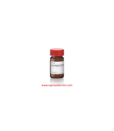 آمفوتریسین بی Amphotericin B from Streptomyces sp Sigma A2411