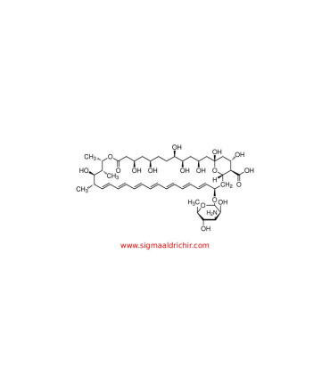 آمفوتریسین بی Amphotericin B from Streptomyces sp Sigma A2411