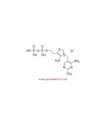 تیامین پیروفسفات  Thiamine Pyrophosphate sigma C8754