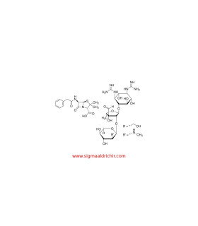 محلول پنی‌سیلین-استرپتومایسین  Penicillin-Streptomycin Sigma P4333