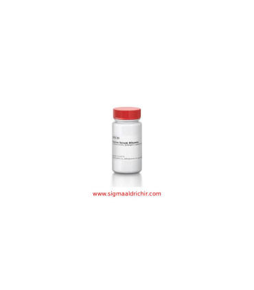 آلبومین سرم گاوی Bovine Serum Albumin Sigma A9418