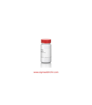 آگارز مولکولی  Agarose Molecular Biology Sigma A4718