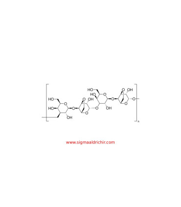 آگارز مولکولی  Agarose Molecular Biology Sigma A4718