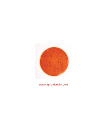 محیط کشت زایلوز لیزین دئوکسی‌کولات آگار  XLD Agar Sigma 146073