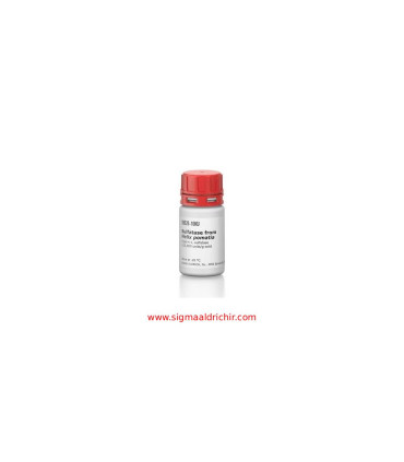 آنزیم سولفاتاز از حلزون  Sulfatase from Helix pomatia Sigma S9626