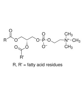 ال-آلفا فسفاتیدیل کولین  L-α-Phosphatidylcholine Sigma P3556