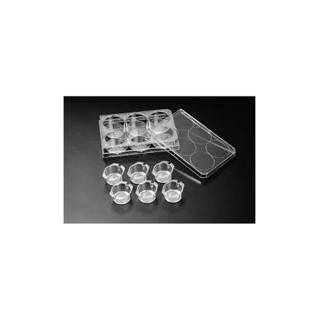 CultureInsert 6 Well 24mm  0.4 Um Pore PCCell Opeaque