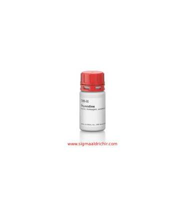 تیمیدین  Thymidine Sigma T1895
