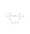 ۴-نیتروفنیل فسفات دی‌سدیم نمک هگزاهیدرات  4Nitrophenyl phosphate disodium salt hexahydrate Sigma N4645