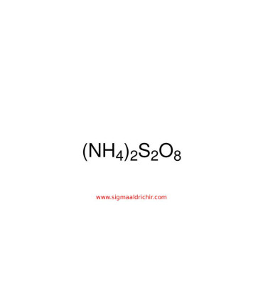 آمونیوم پرسولفات  Ammonium persulfate Sigma A3678
