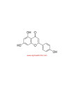 آپیژنین  Apigenin Sigma A3145