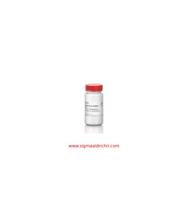 جنتامایسین سولفات  Gentamicin sulfate salt Sigma G1264