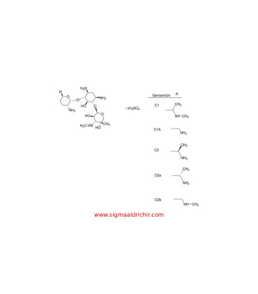 جنتامایسین سولفات  Gentamicin sulfate salt Sigma G1264