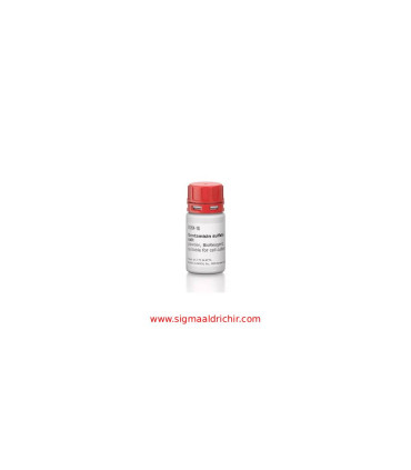 جنتامایسین سولفات  Gentamicin sulfate salt Sigma G1264