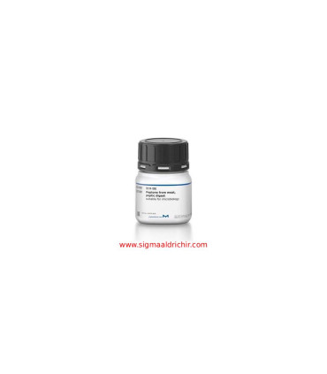 پپتون گوشت   M-Gredient® Meat Peptone B2 Sigma 70174