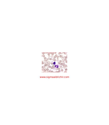 رنگ گیمسا(آزور-ائوزین-متیلن بلو)  Giemsa's azur-eosin-methylene blue Sigma 109203
