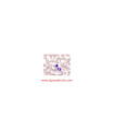 رنگ گیمسا(آزور-ائوزین-متیلن بلو)  Giemsa's azur-eosin-methylene blue Sigma 109203