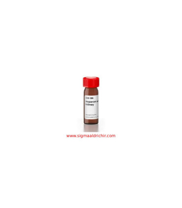 هپاران سولفات سدیم  Heparan sulfate sodium salt from bovine kidney Sigma H7640