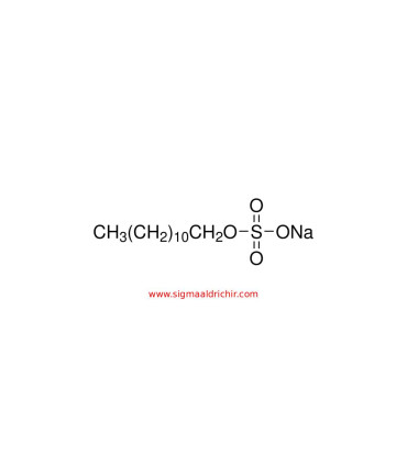 سدیم دودسیل سولفات  Sodium dodecyl sulfate Sigma 436143